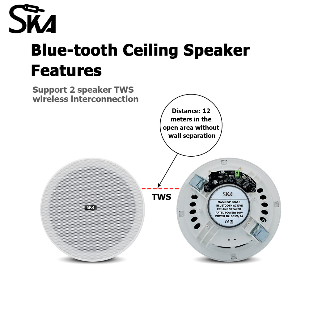 Ceiling Bluetooth Speaker 6inc - огляд і ціна Home Cinema Speaker System